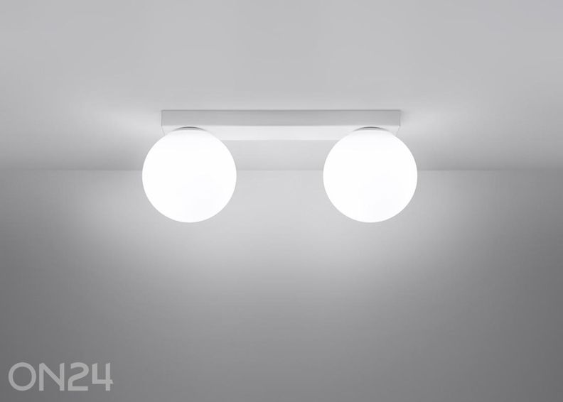 Kattovalaisin Yoli 2 kuvasuurennos