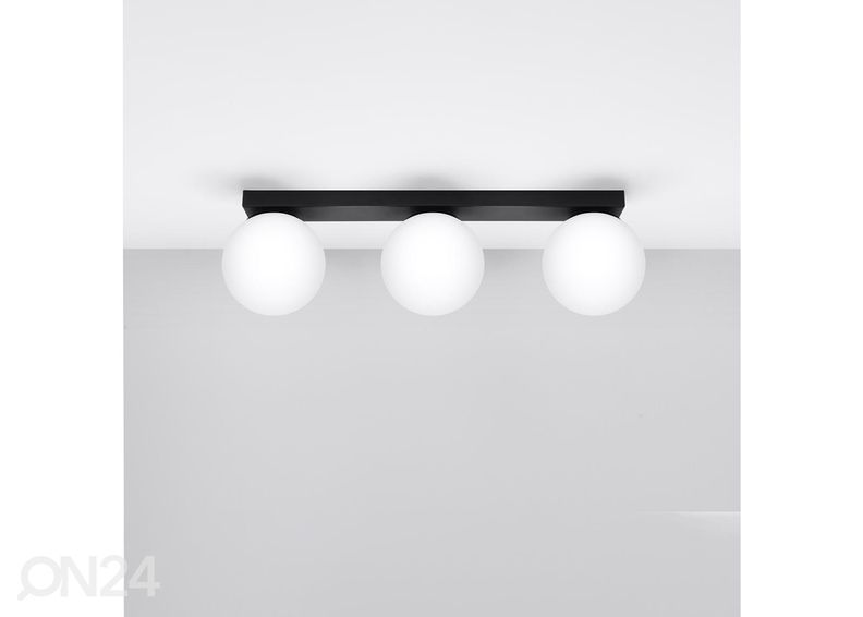 Kattovalaisin Yoli 3 kuvasuurennos