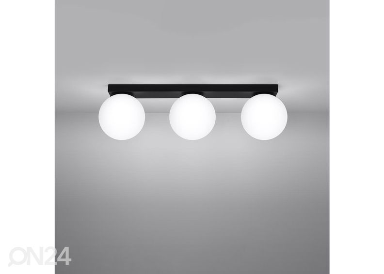 Kattovalaisin Yoli 3 kuvasuurennos