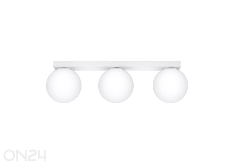 Kattovalaisin Yoli 3 kuvasuurennos