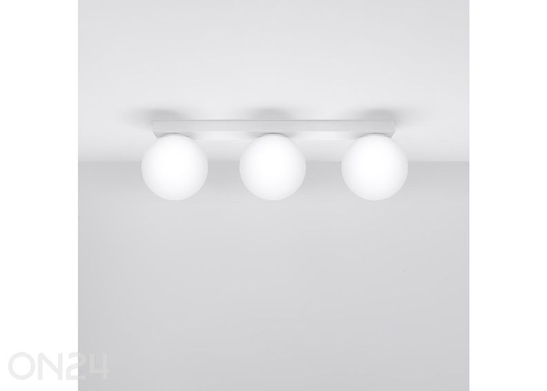 Kattovalaisin Yoli 3 kuvasuurennos