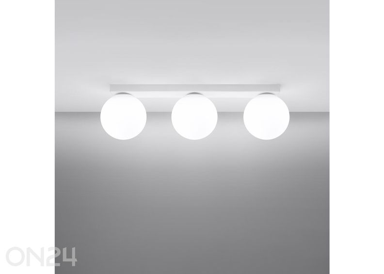 Kattovalaisin Yoli 3 kuvasuurennos