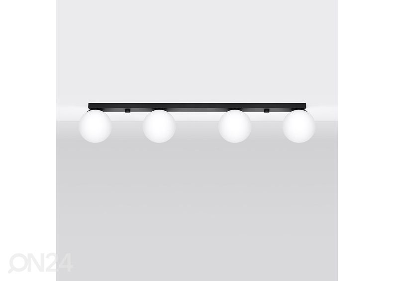 Kattovalaisin Yoli 4 kuvasuurennos