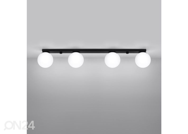 Kattovalaisin Yoli 4 kuvasuurennos