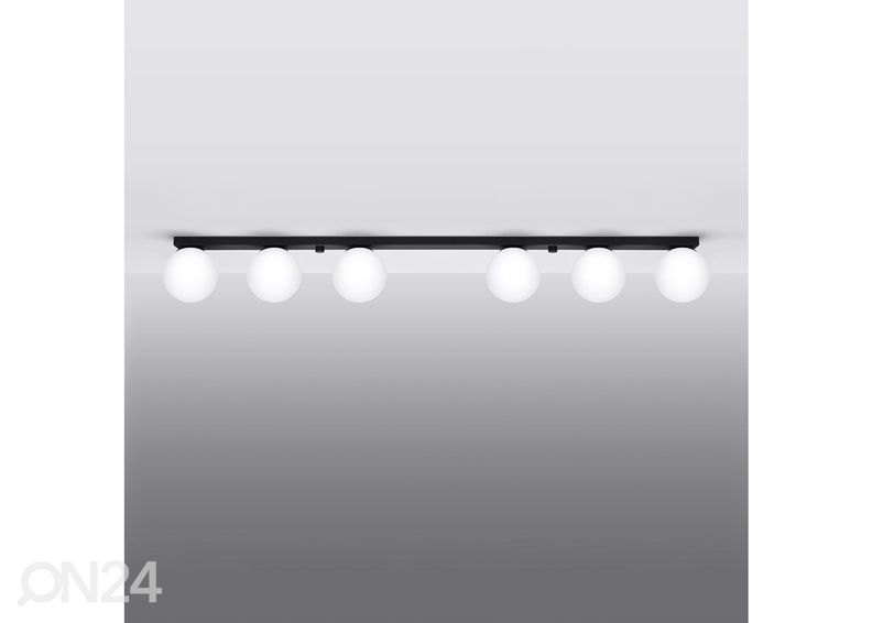 Kattovalaisin Yoli 6 kuvasuurennos