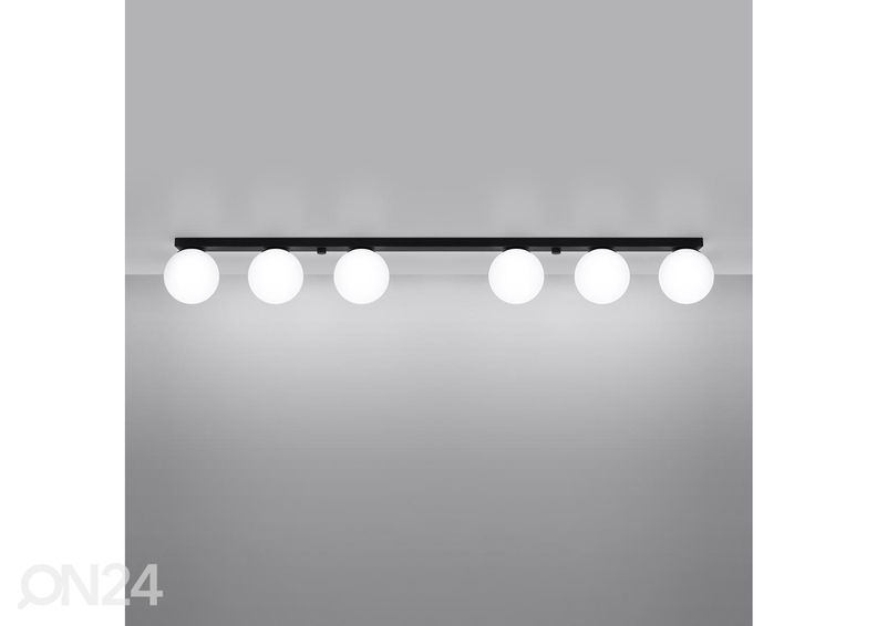 Kattovalaisin Yoli 6 kuvasuurennos