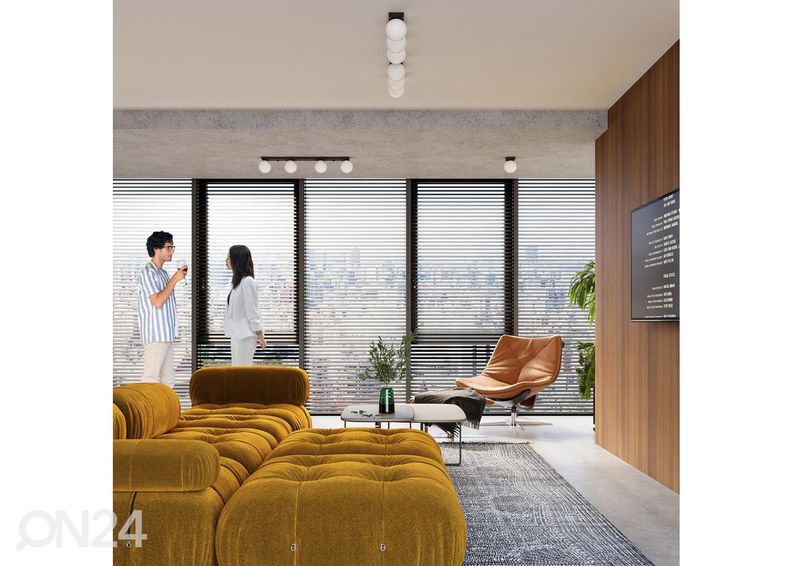 Kattovalaisin Yoli 6 kuvasuurennos