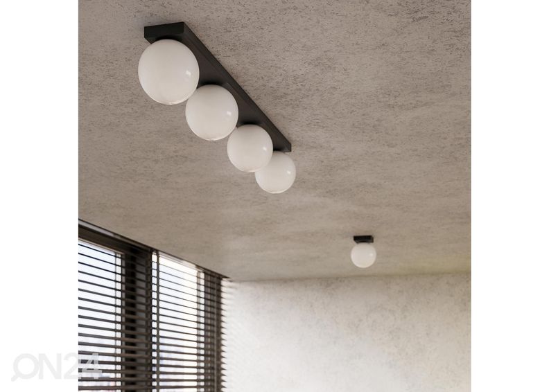 Kattovalaisin Yoli 6 kuvasuurennos