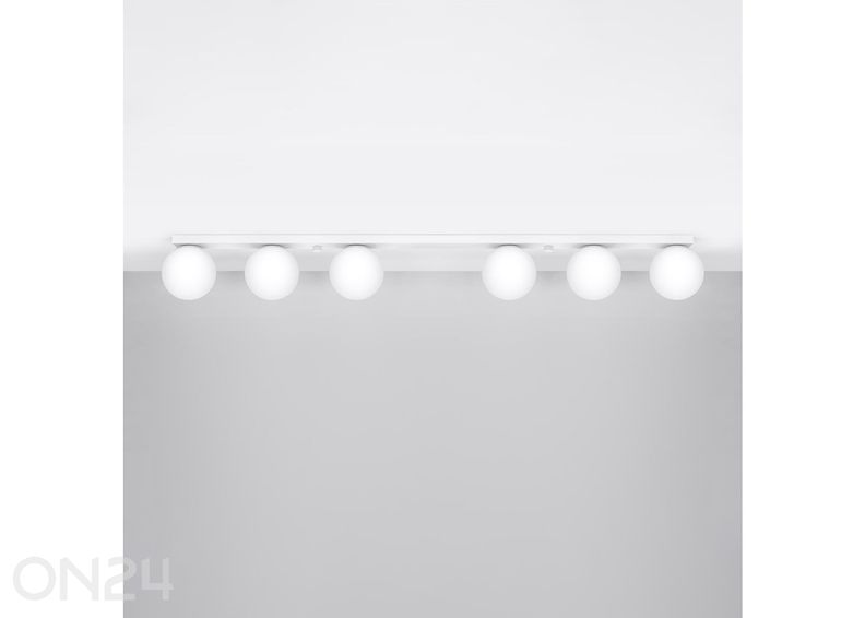 Kattovalaisin Yoli 6 kuvasuurennos