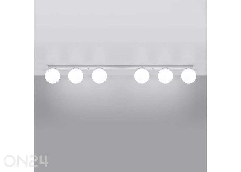 Kattovalaisin Yoli 6 kuvasuurennos