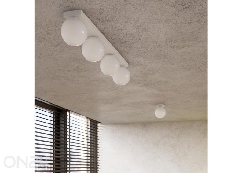 Kattovalaisin Yoli 6 kuvasuurennos