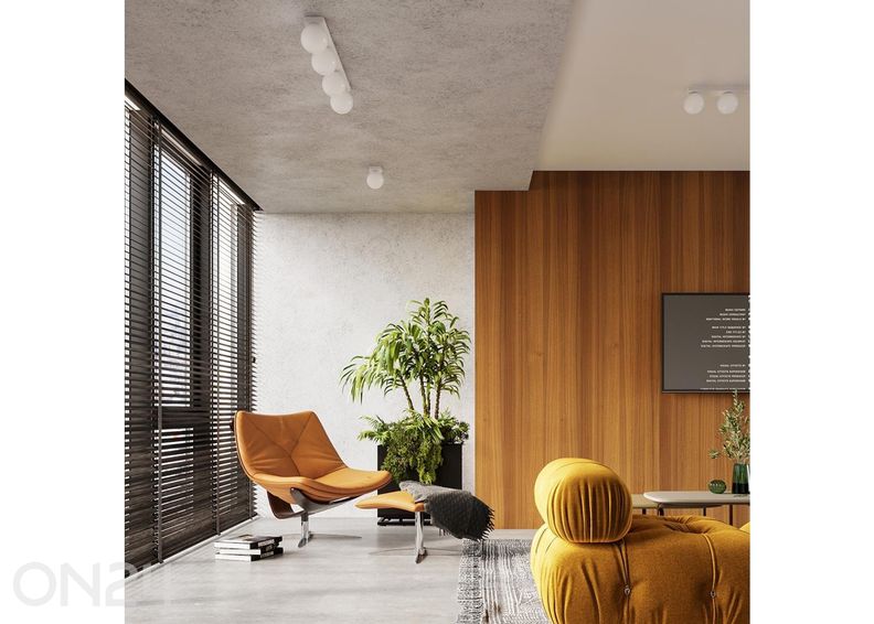 Kattovalaisin Yoli 6 kuvasuurennos