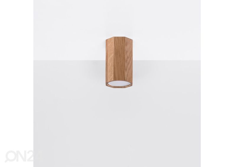 Kattovalaisin Zeke 10, tammi kuvasuurennos