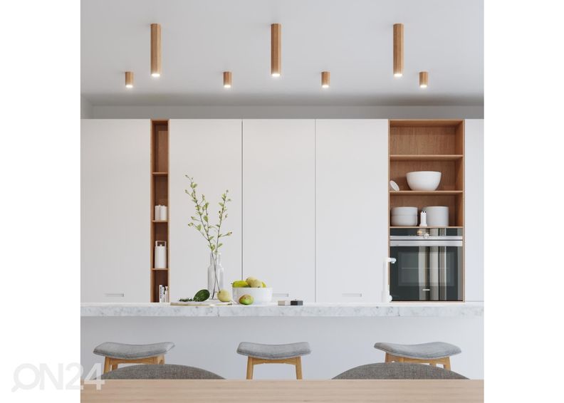 Kattovalaisin Zeke 10, tammi kuvasuurennos