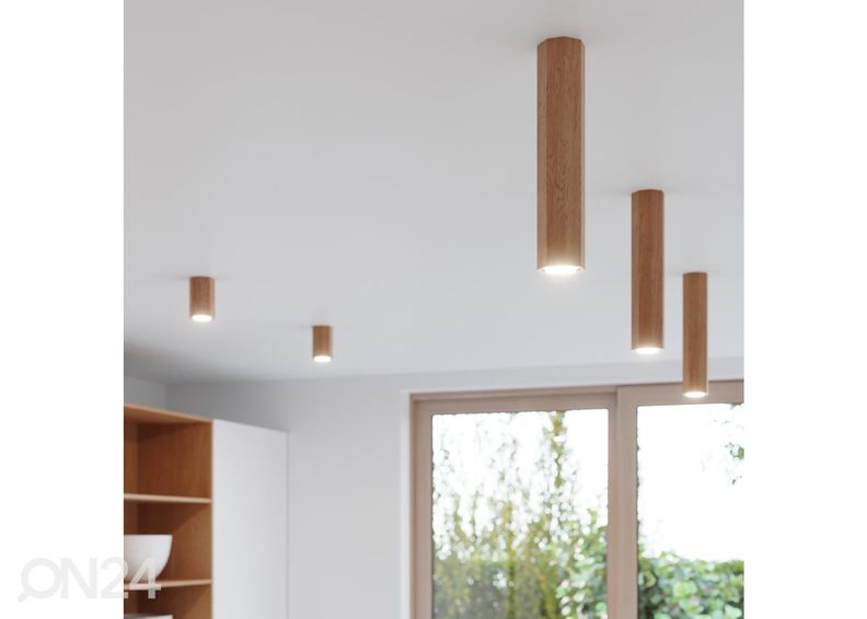 Kattovalaisin Zeke 10, tammi kuvasuurennos