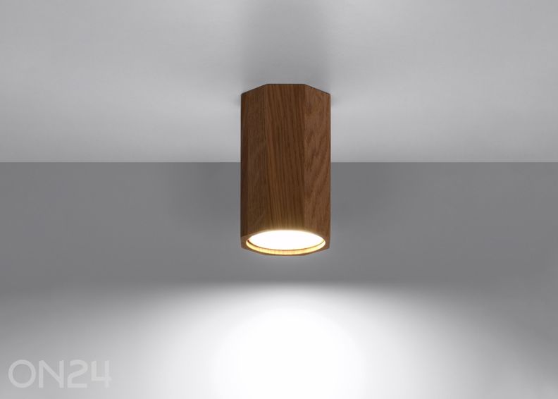 Kattovalaisin Zeke 10, tammi kuvasuurennos