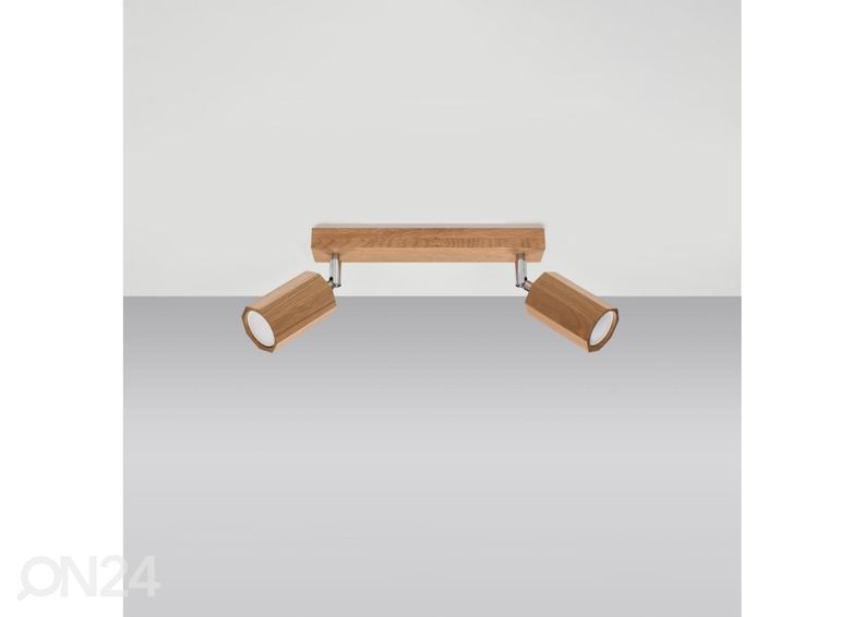 Kattovalaisin Zeke 2, tammi kuvasuurennos