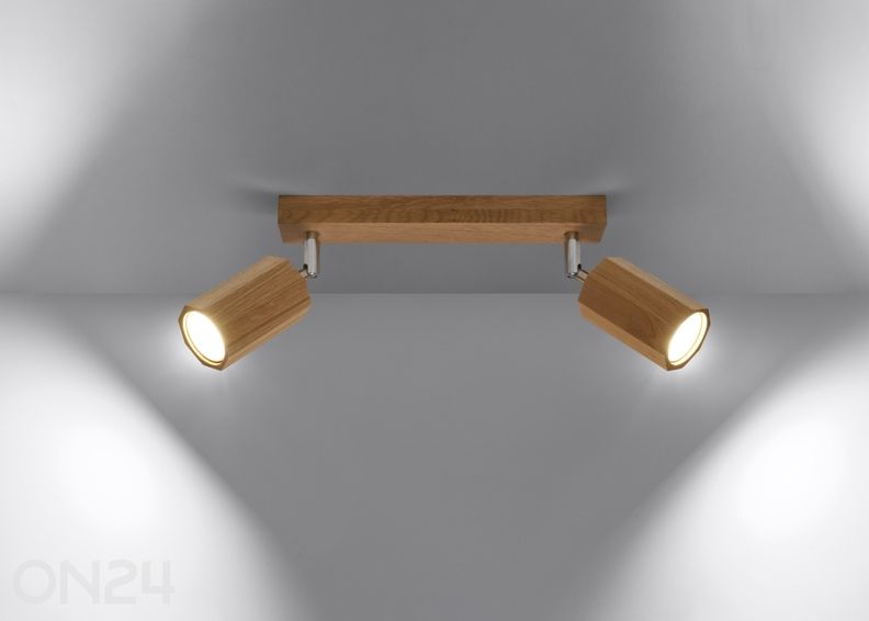 Kattovalaisin Zeke 2, tammi kuvasuurennos