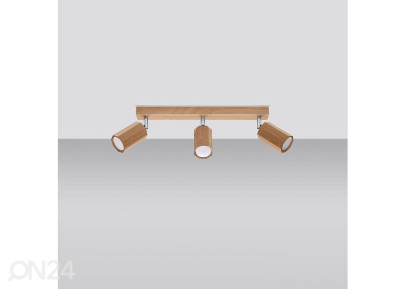 Kattovalaisin Zeke 3, tammi kuvasuurennos