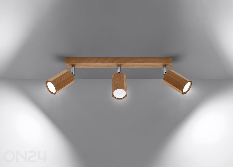 Kattovalaisin Zeke 3, tammi kuvasuurennos