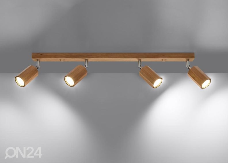 Kattovalaisin Zeke 4, tammi kuvasuurennos