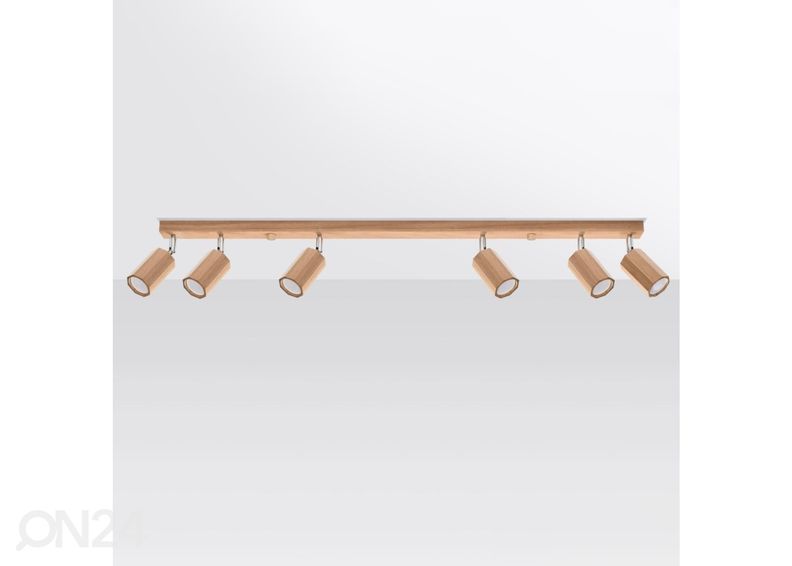 Kattovalaisin Zeke 6, tammi kuvasuurennos