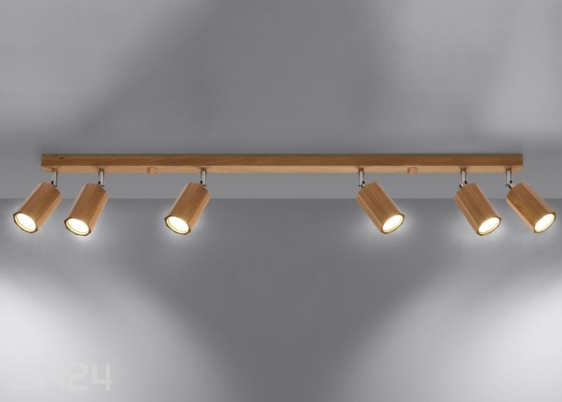 Kattovalaisin Zeke 6, tammi kuvasuurennos