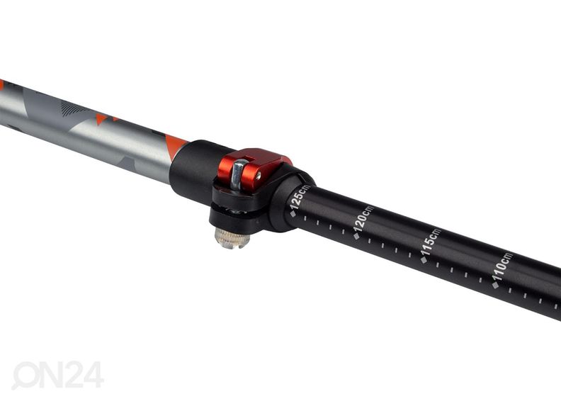 Kävelysauva Abbey kuvasuurennos