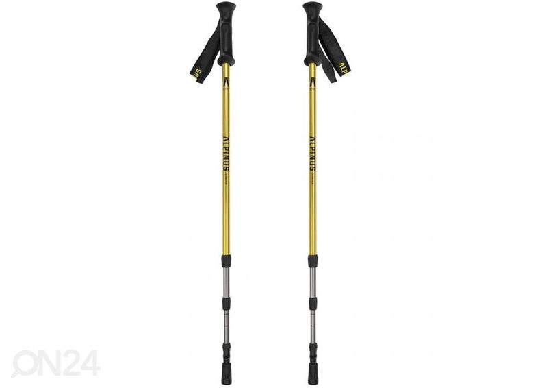 Kävelysauvat Alpinus Courmayeur NX436001 kuvasuurennos