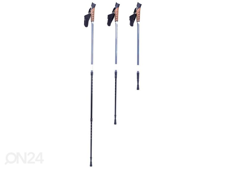 Kävelysauvat Poles inSPORTline Vilarica kuvasuurennos