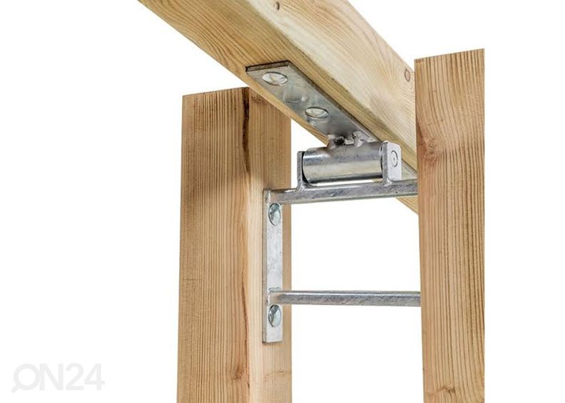 Keinulauta Franz kuvasuurennos