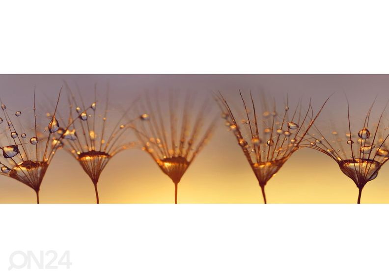 Keittiön välitilan tapetti Drops on dandelion 180x60 cm kuvasuurennos