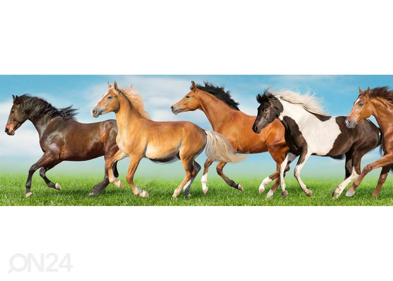 Keittiön välitilan tapetti Horses 180x60 cm kuvasuurennos