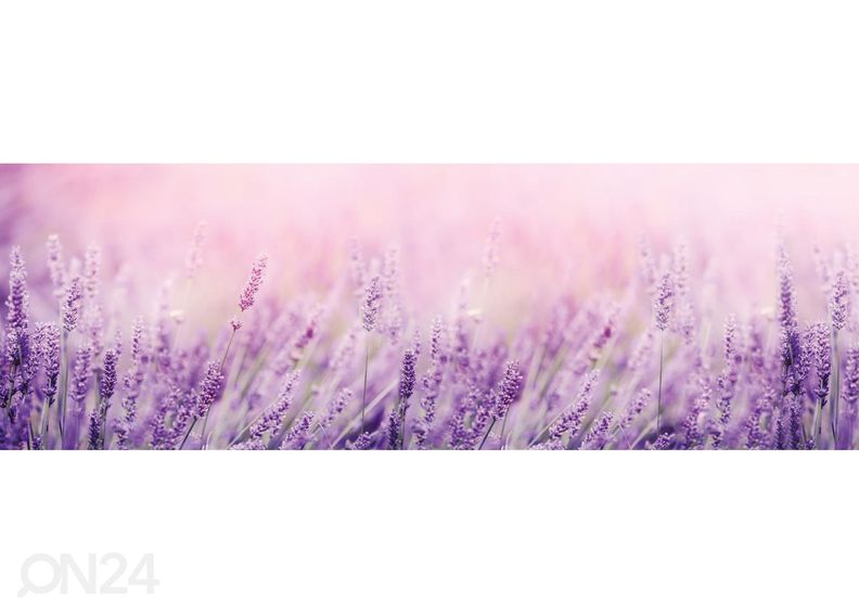 Keittiön välitilan tapetti Lavender 350x60 cm kuvasuurennos