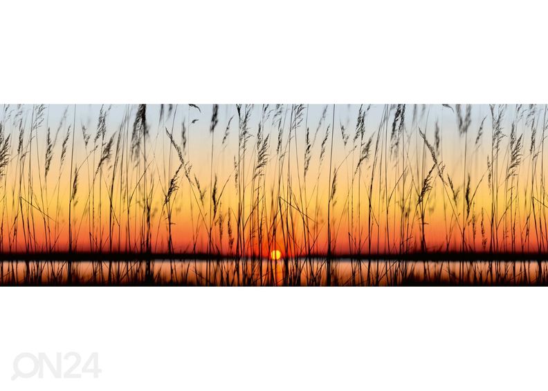 Keittiön välitilan tapetti Reed 180x60 cm kuvasuurennos