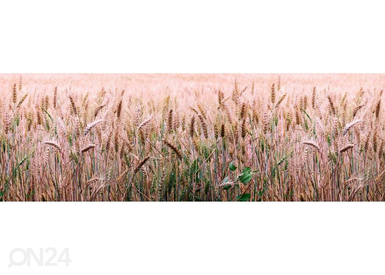 Keittiön välitilan tapetti Wheat field 180x60 cm kuvasuurennos