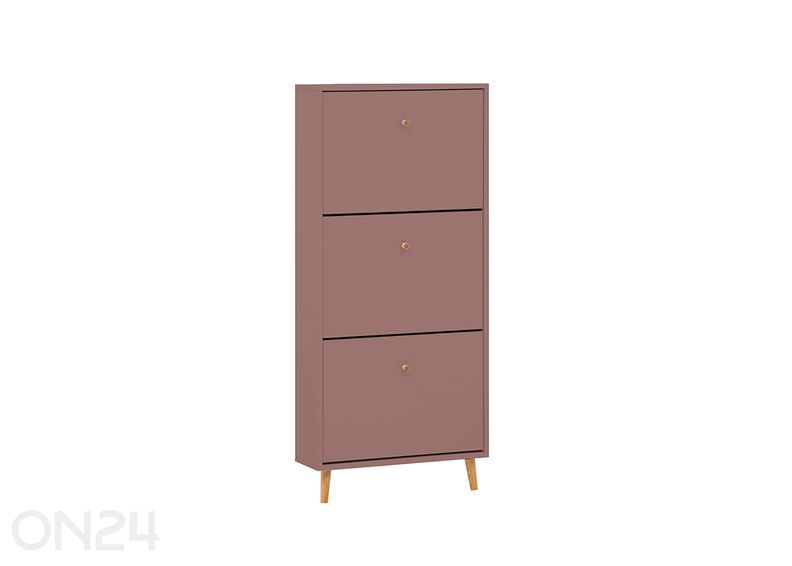 Kenkäkaappi Bjarne kuvasuurennos