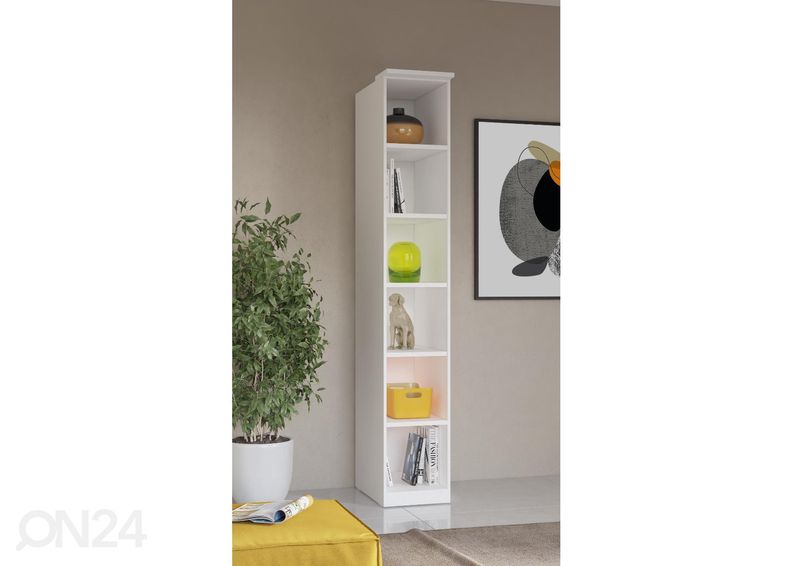 Kirjahylly 35 cm kuvasuurennos