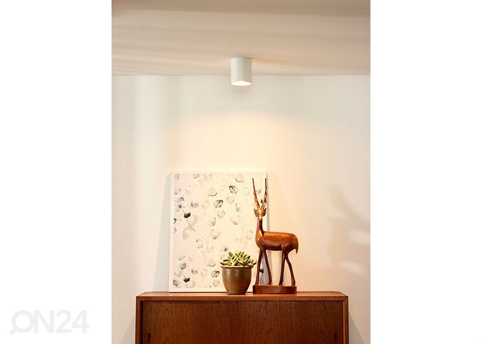 Kohdevalaisin Bodi kuvasuurennos