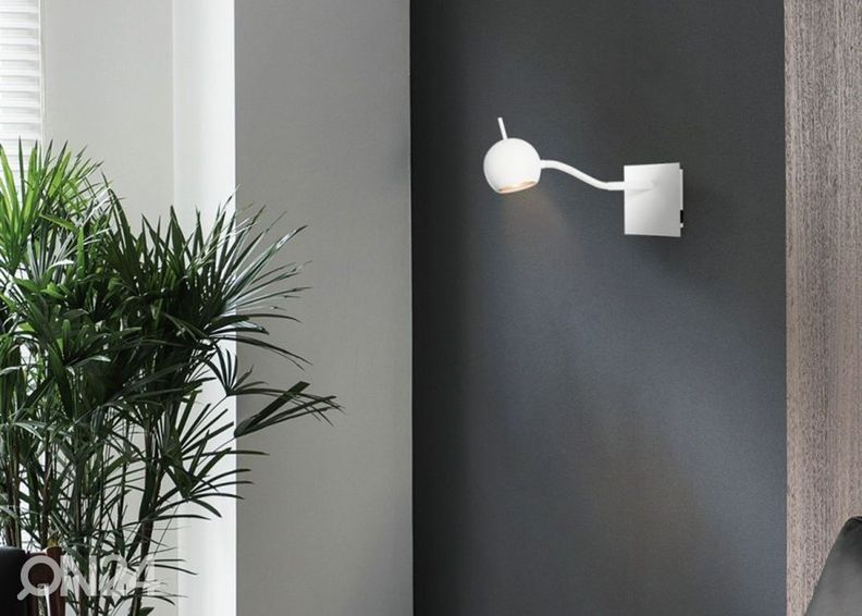 Kohdevalaisin Bollo kuvasuurennos