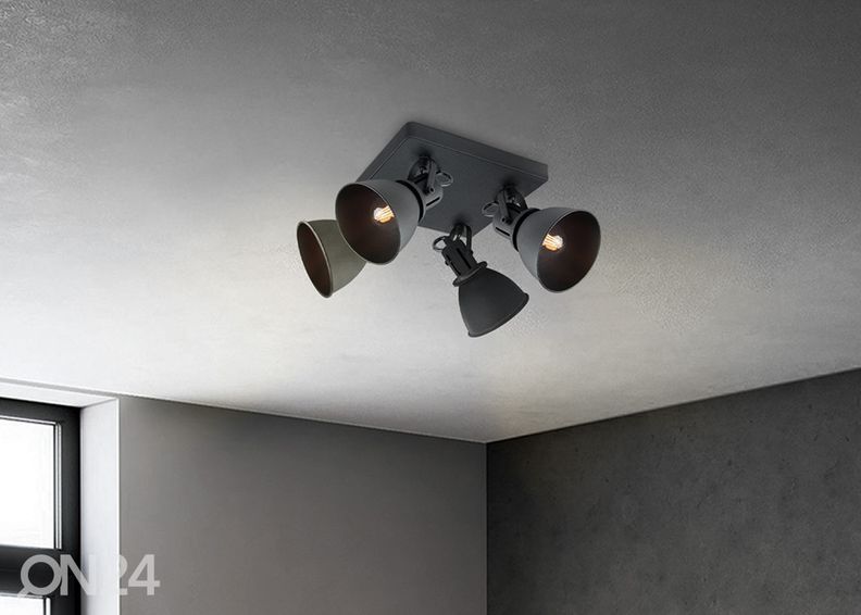 Kohdevalaisin Fama kuvasuurennos