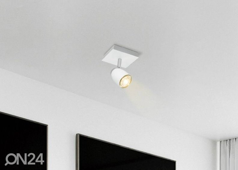 Kohdevalaisin Gina kuvasuurennos