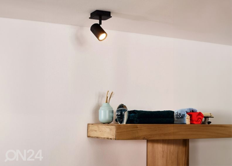 Kohdevalaisin Lennert kuvasuurennos