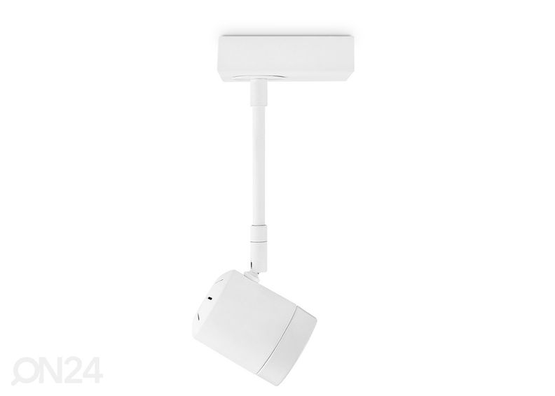 Kohdevalaisin Manu kuvasuurennos