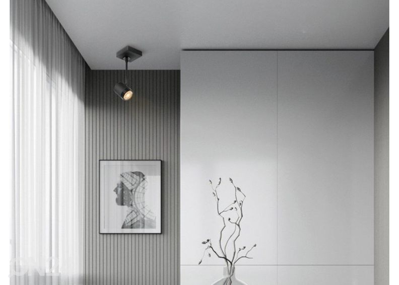 Kohdevalaisin Manu kuvasuurennos