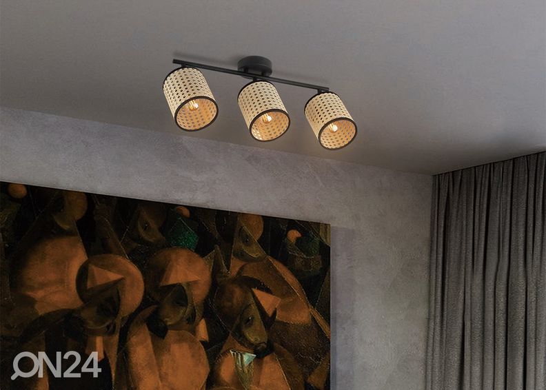 Kohdevalaisin Ratan kuvasuurennos