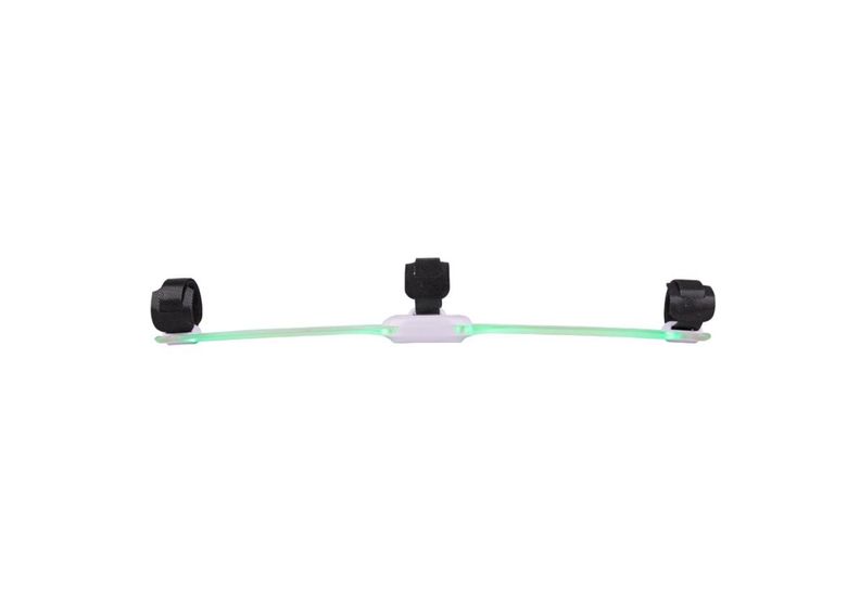 Koiran Led kaulapanta LED light Maxi kuvasuurennos