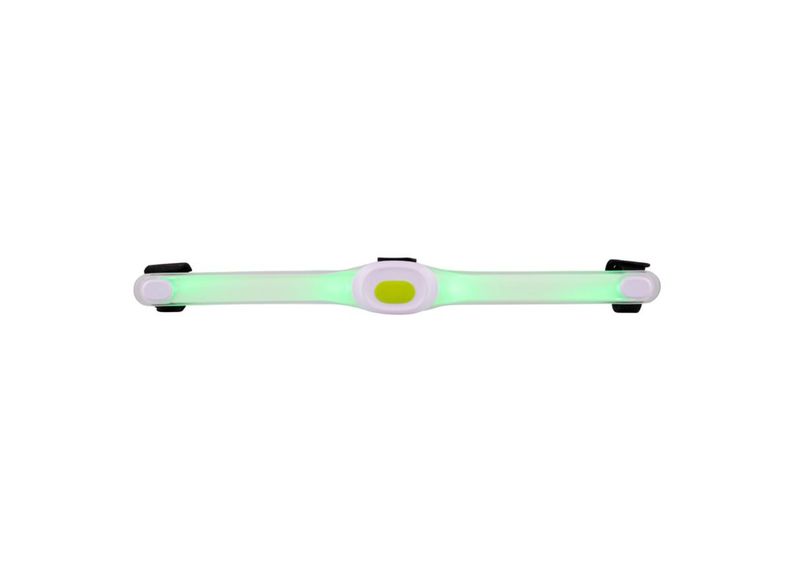 Koiran Led kaulapanta LED light Maxi kuvasuurennos