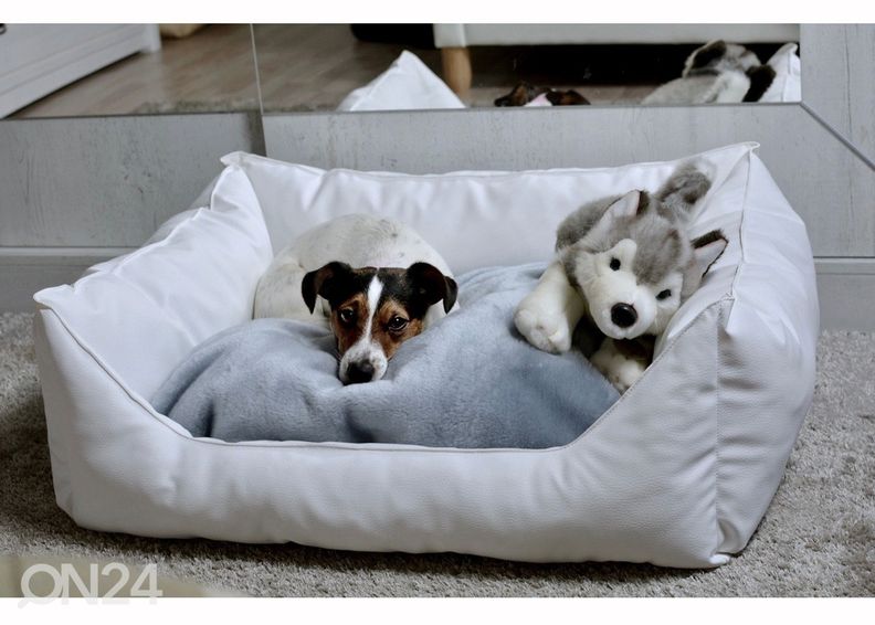 Koiran peti S4 85x70 cm kuvasuurennos