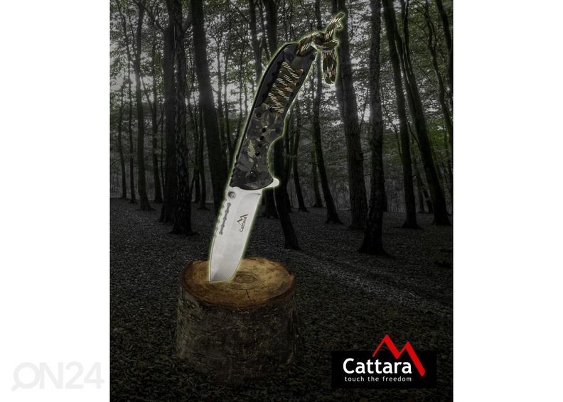 Koripallo taktiikkataulu BK71 inSPORTline kuvasuurennos